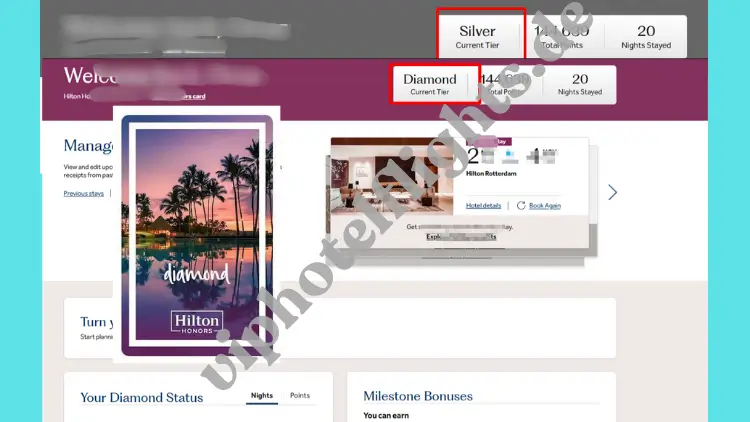 Hilton Diamond Status-Upgrade für 1 Jahre 3 Hilton d 1